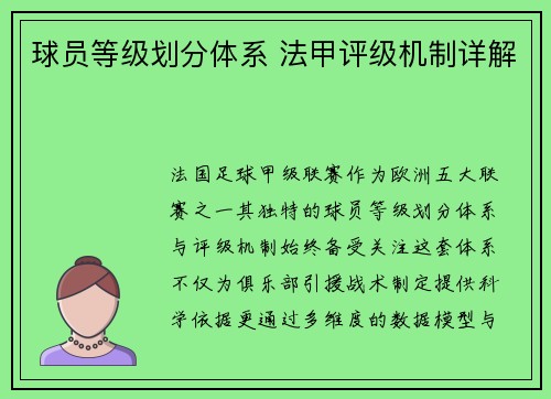 球员等级划分体系 法甲评级机制详解