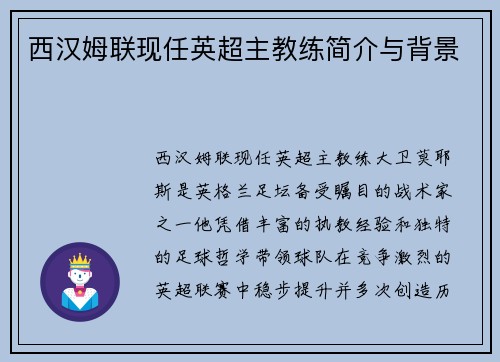 西汉姆联现任英超主教练简介与背景