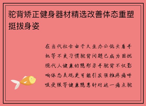 驼背矫正健身器材精选改善体态重塑挺拔身姿